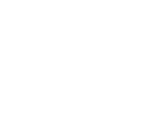 lexcent 1